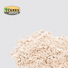 Amino Acid Powder