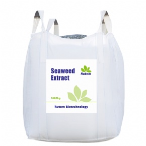 Seaweed Extract